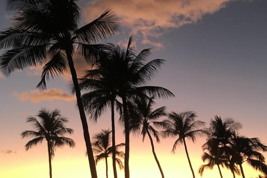 カリフォルニア大学サンディエゴ校_C018