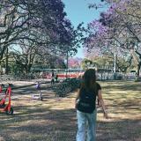 ジャカランダが咲く季節にクイーンズランド大学を散歩