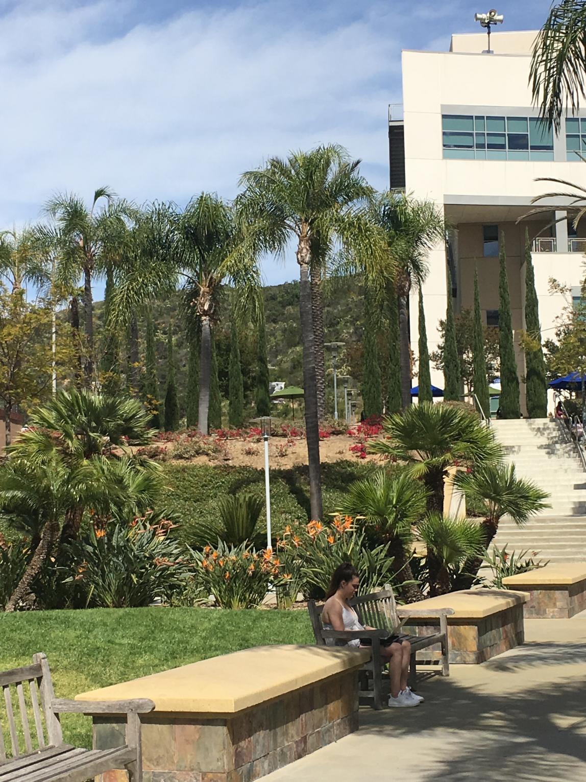 カリフォルニア州立大学サンマルコス校_C13