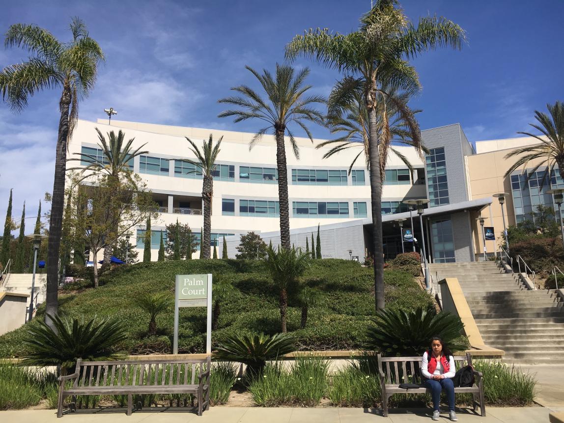 カリフォルニア州立大学サンマルコス校_C17
