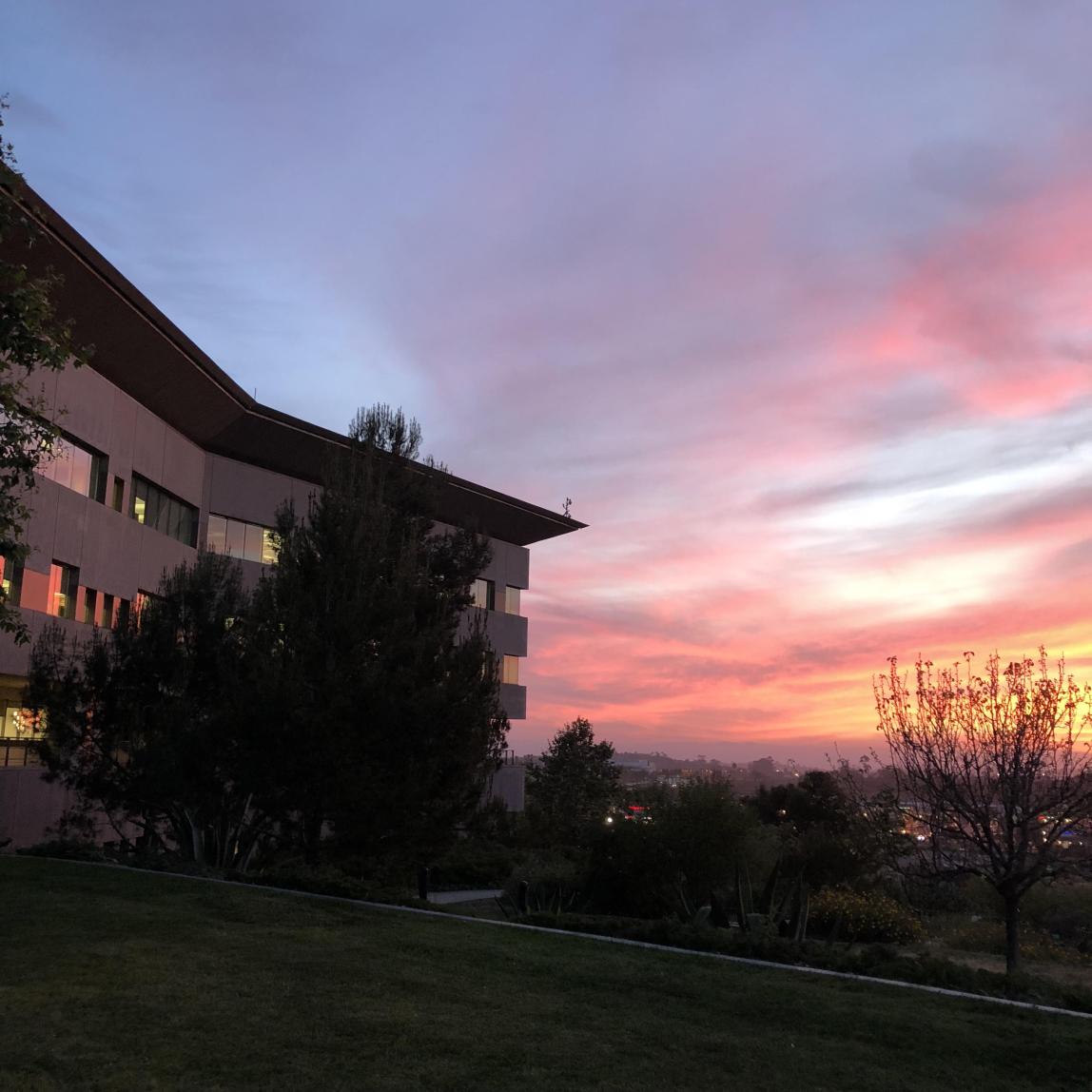 カリフォルニア州立大学サンマルコス校_C18