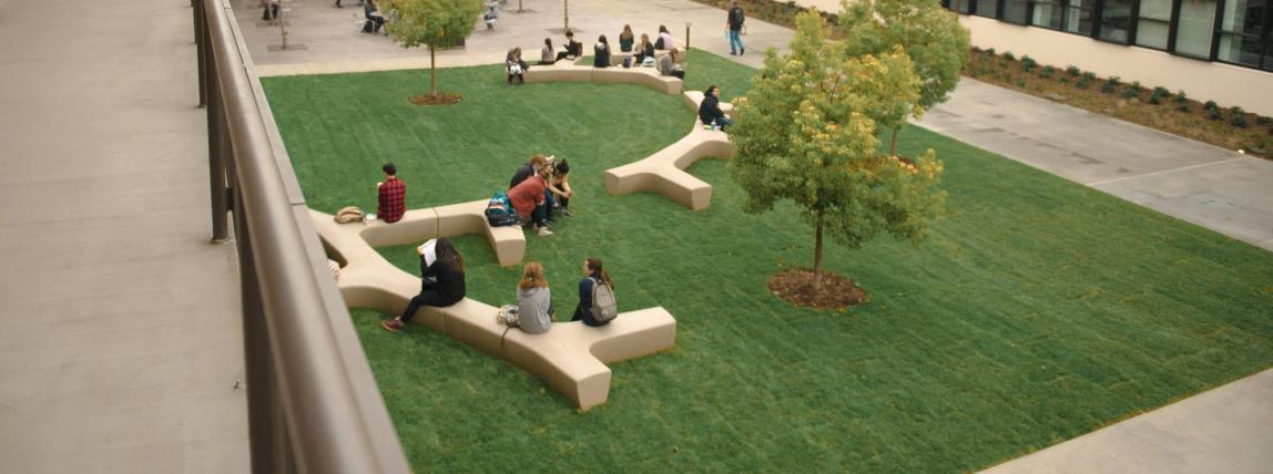 カリフォルニア州立大学ロングビーチ校_C11
