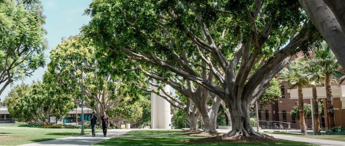 カリフォルニア州立大学ロングビーチ校_F02