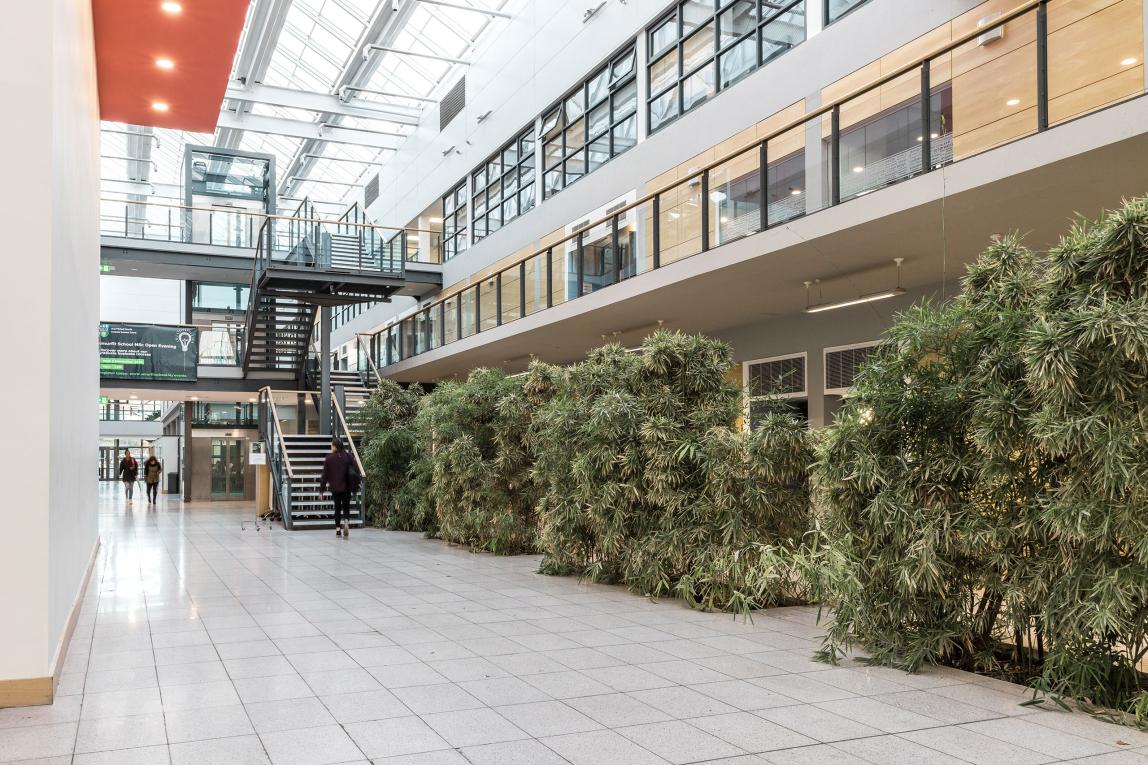 アイルランド国立大学ダブリン校_C15