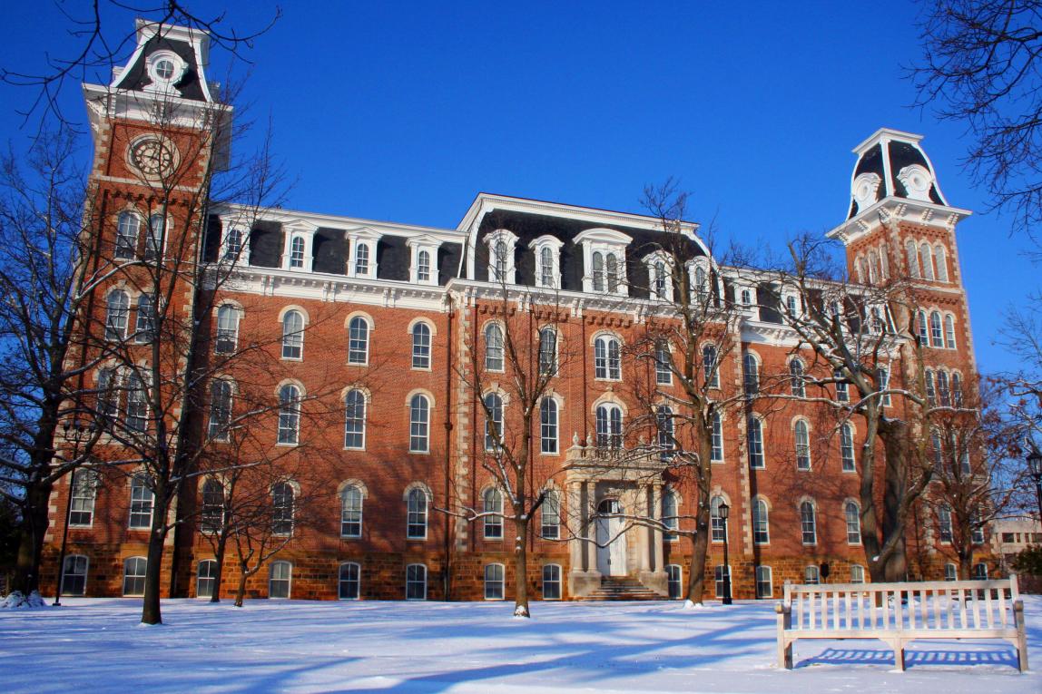 (アーカンソー大学) University of Arkansas バックパック アーカンソー レイザーバックス ノートパソコンコンピュータバッグ 並行輸入品 アーカンソー大学 | SAF - The Study Abroad Foundation