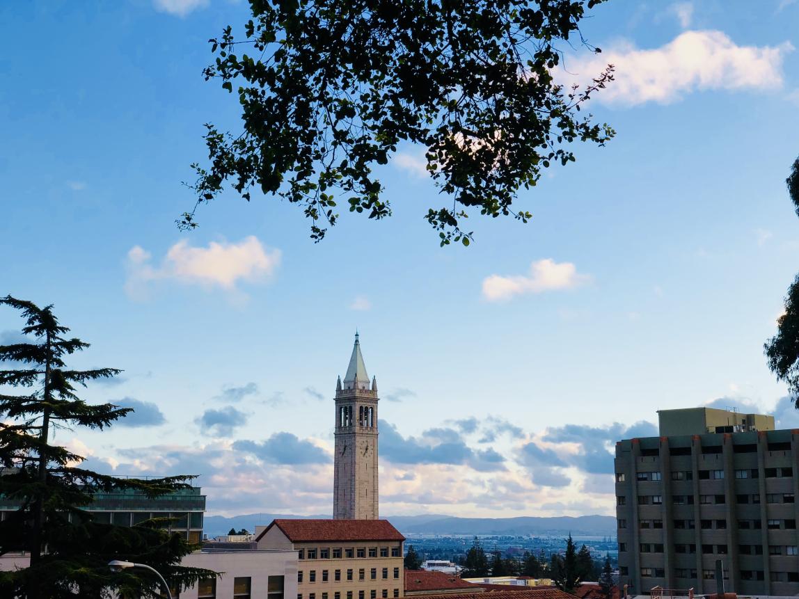 カリフォルニア大学バークレー校_F08