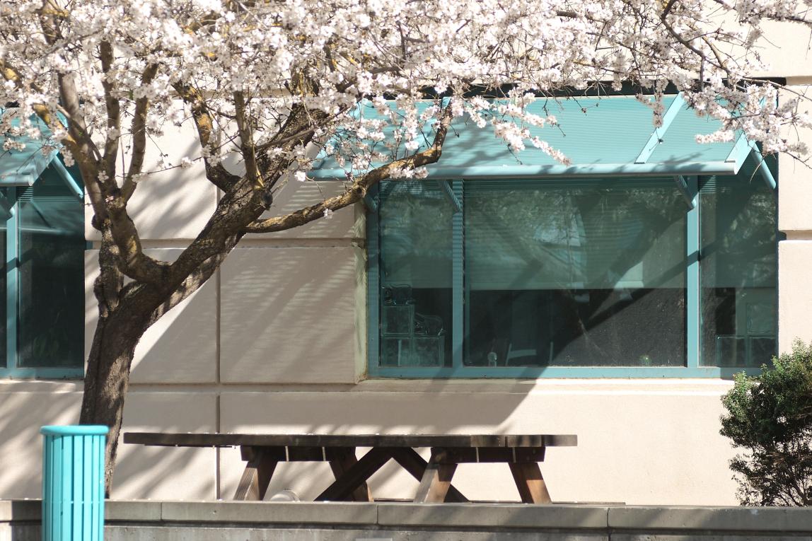 カリフォルニア大学デイビス校_05
