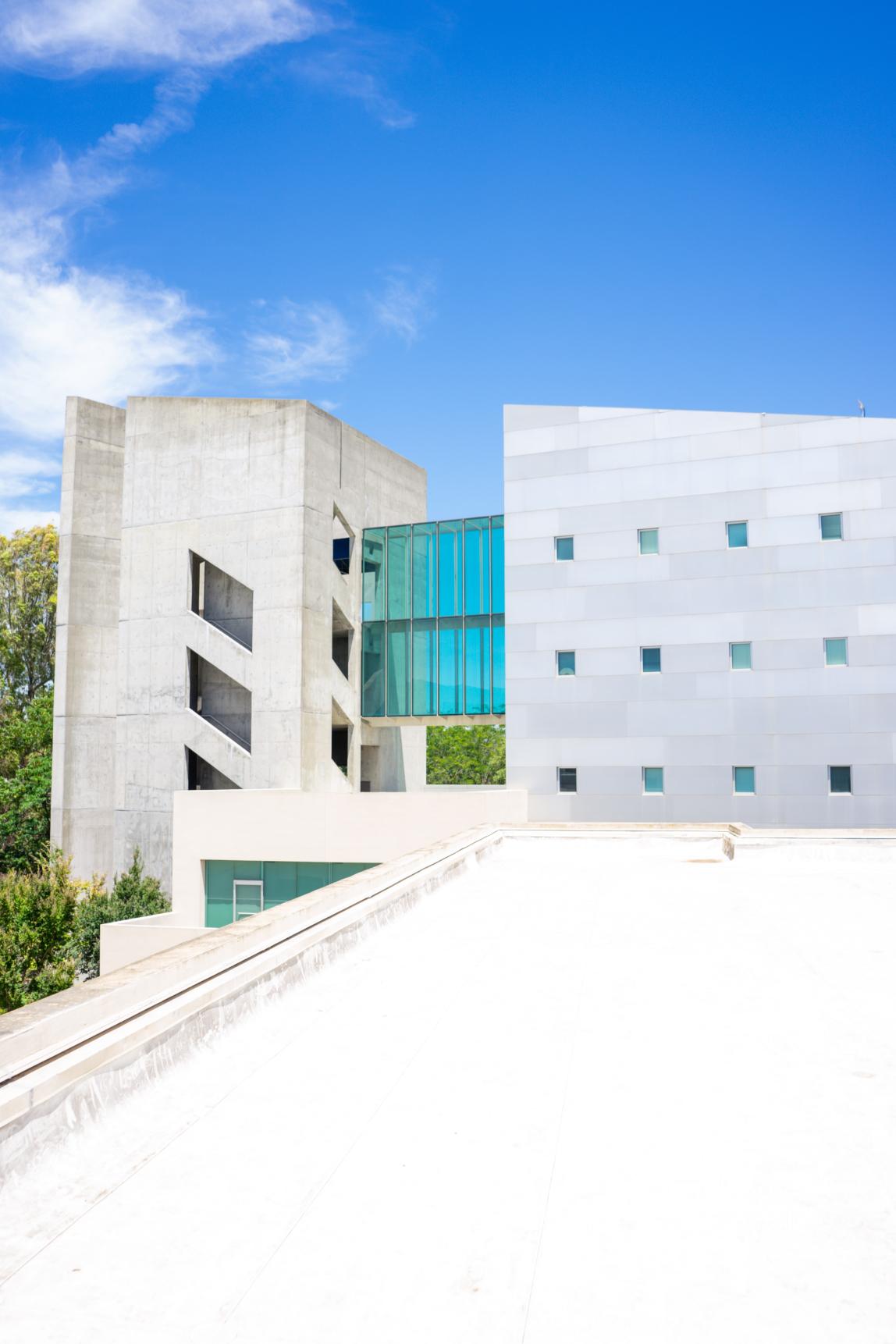 カリフォルニア大学デイビス校_06