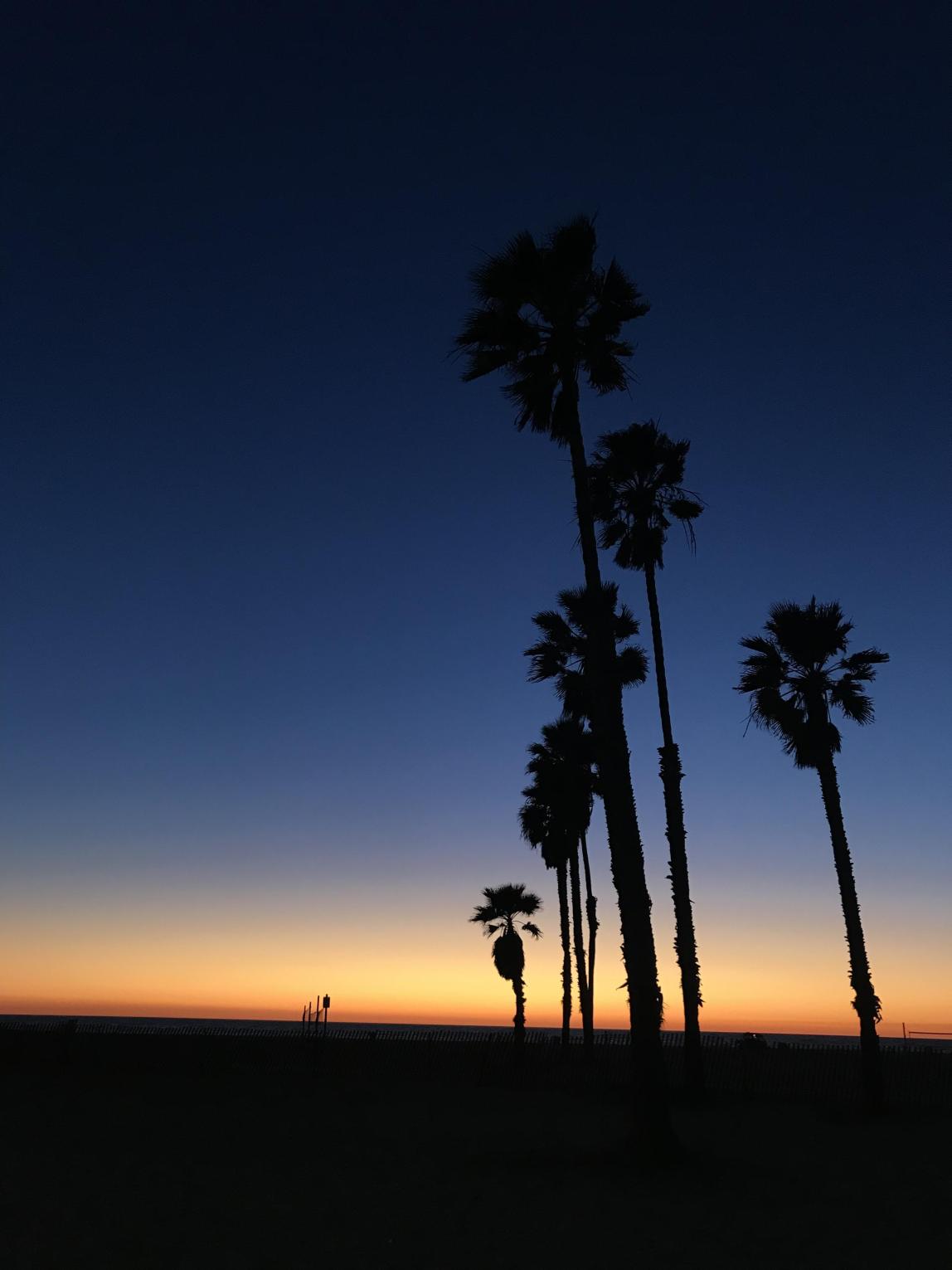 カリフォルニア大学リバーサイド校_C01