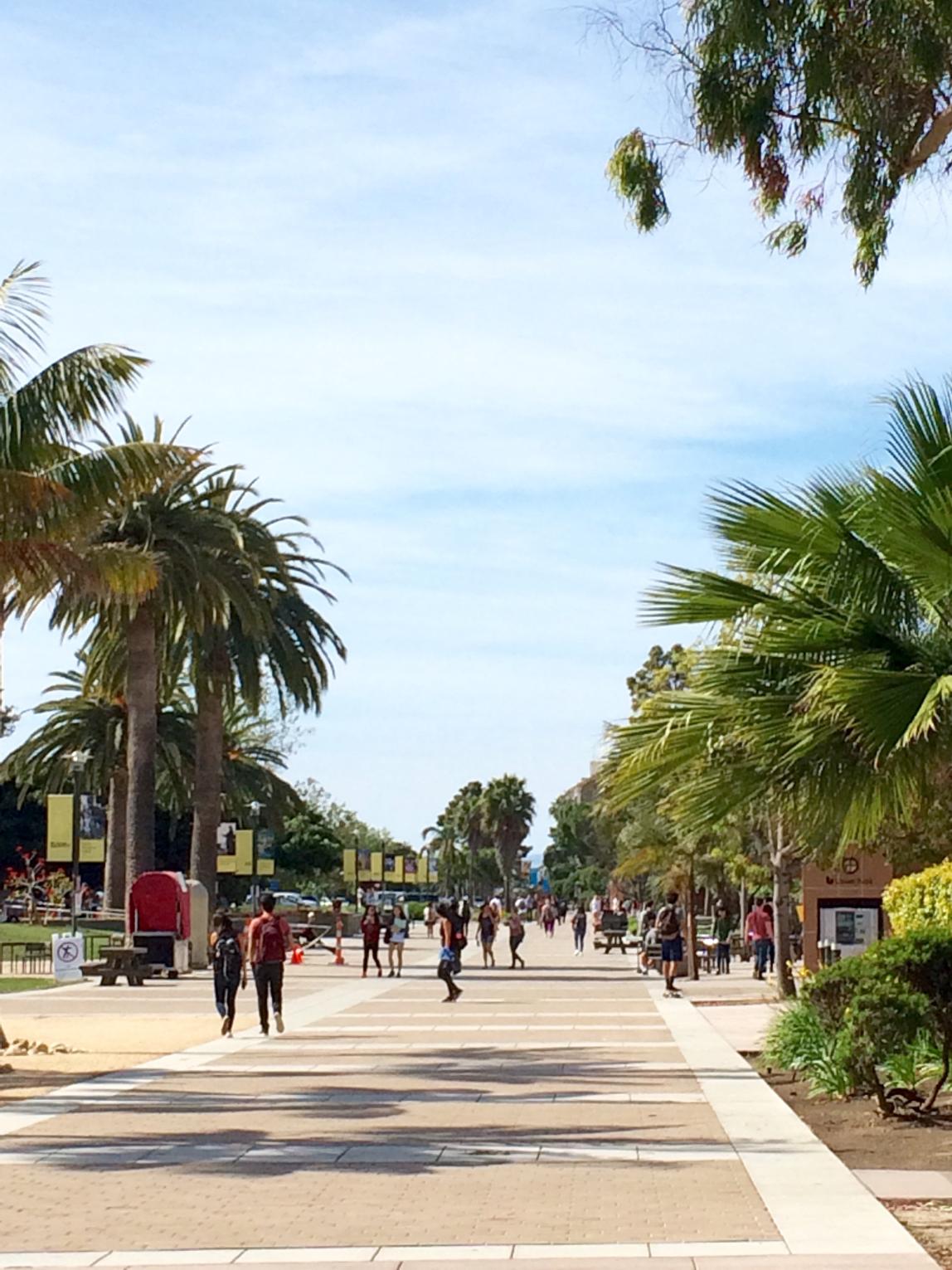 カリフォルニア大学サンタバーバラ校_C01