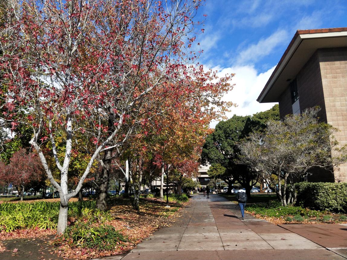カリフォルニア大学サンタバーバラ校_C018
