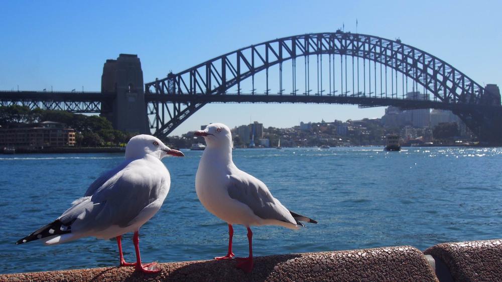 2016年春季フォトコンテスト準グランプリ金久保 早紀さんの写真