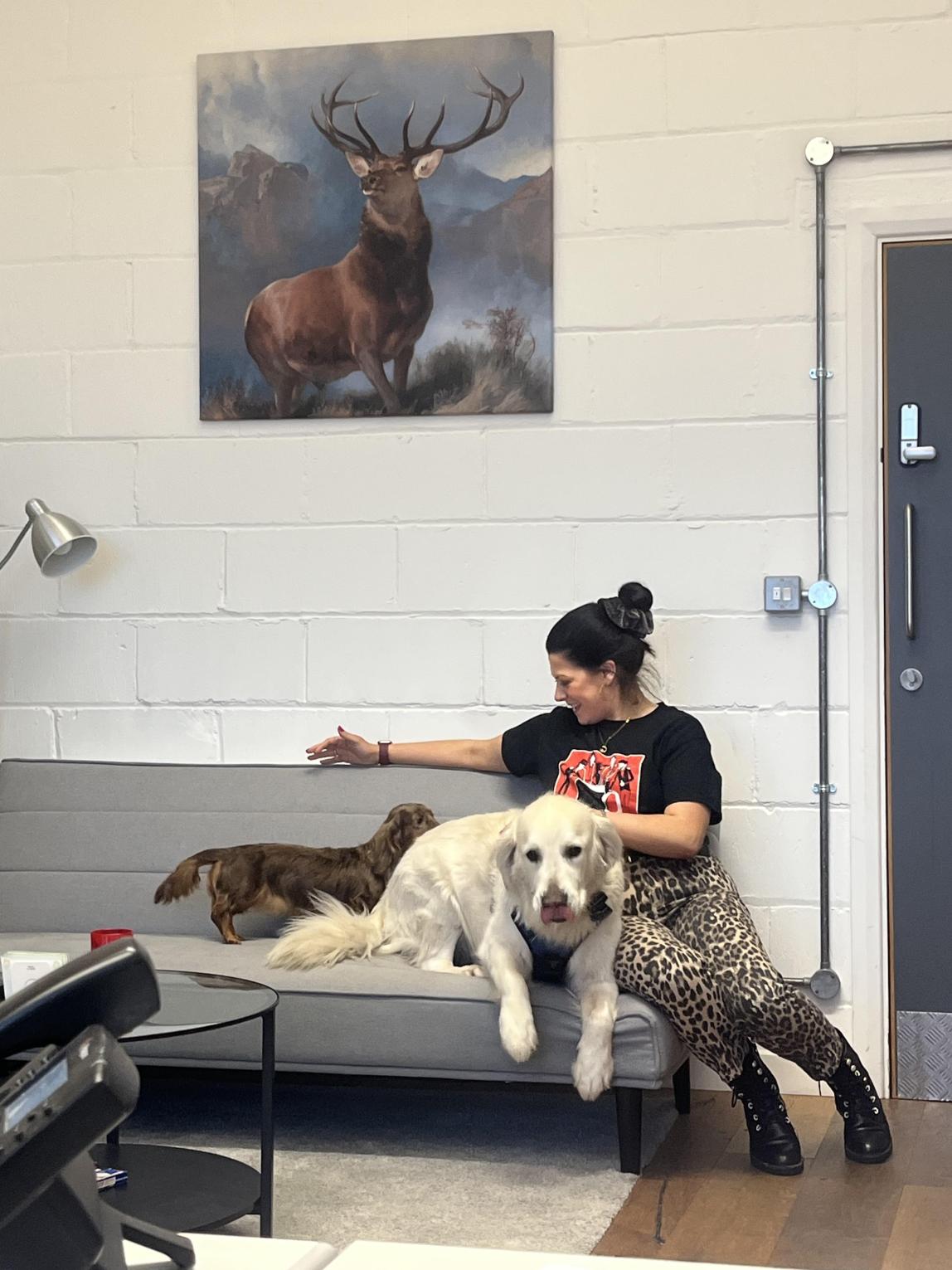 Yukyeong Jang's coworker with two dogs on a couch in their office.