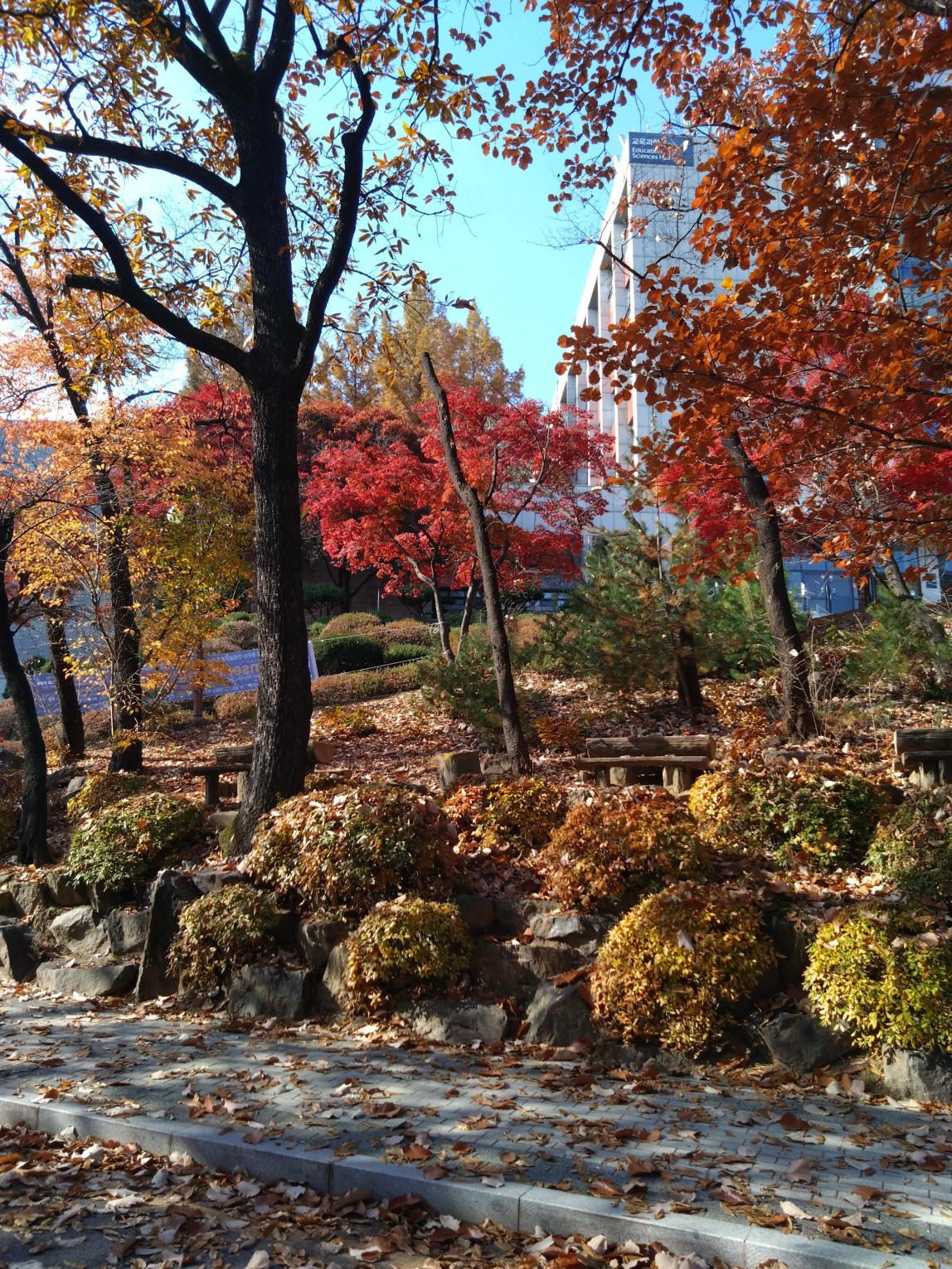 Toyoharu_ADACHI_GA3_7.JPG