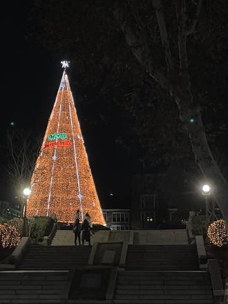 延世大学内のクリスマスツリー