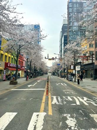 春の韓国の街並み