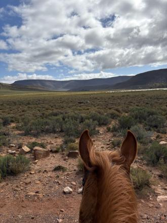 ケープタウンで乗馬