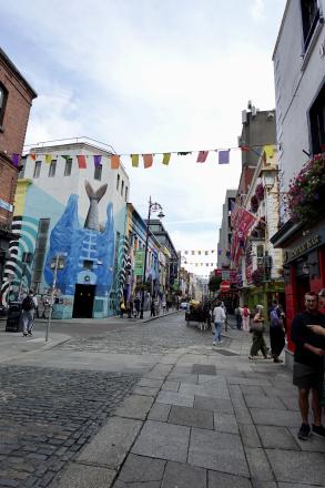 RyoTsukioka_Dublin