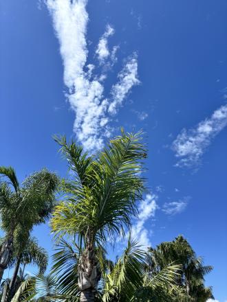 SoichiYANAGIHARA_UCSB_GA1