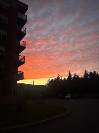 YumehoAOKI_Dalhousie