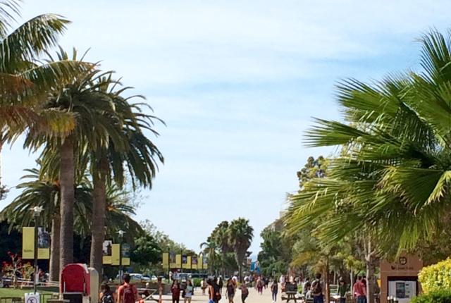 カリフォルニア大学サンタバーバラ校_C01