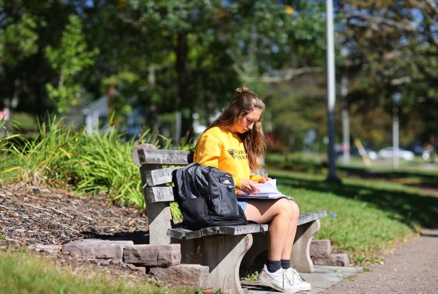 Dalhousie University - Students Studying on Campus