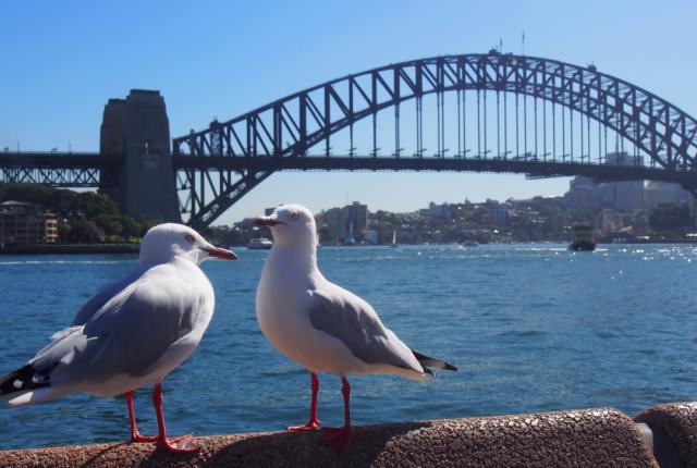 2016年春季フォトコンテスト準グランプリ金久保 早紀さんの写真