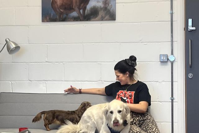 Yukyeong Jang's coworker with two dogs on a couch in their office.