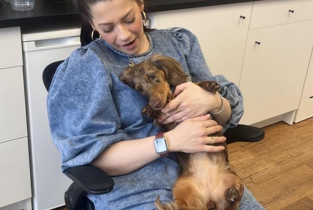 Yukyeong Jang's coworker with her dog, Quinn, at their office