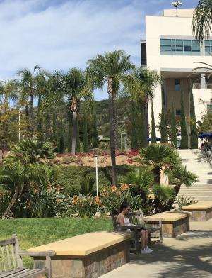 カリフォルニア州立大学サンマルコス校への海外留学 | SAF