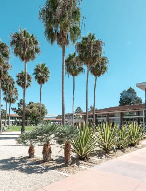 カリフォルニア大学サンタバーバラ校_F02