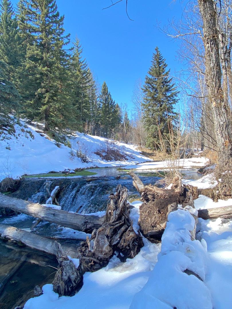カナダの雪深い道の写真