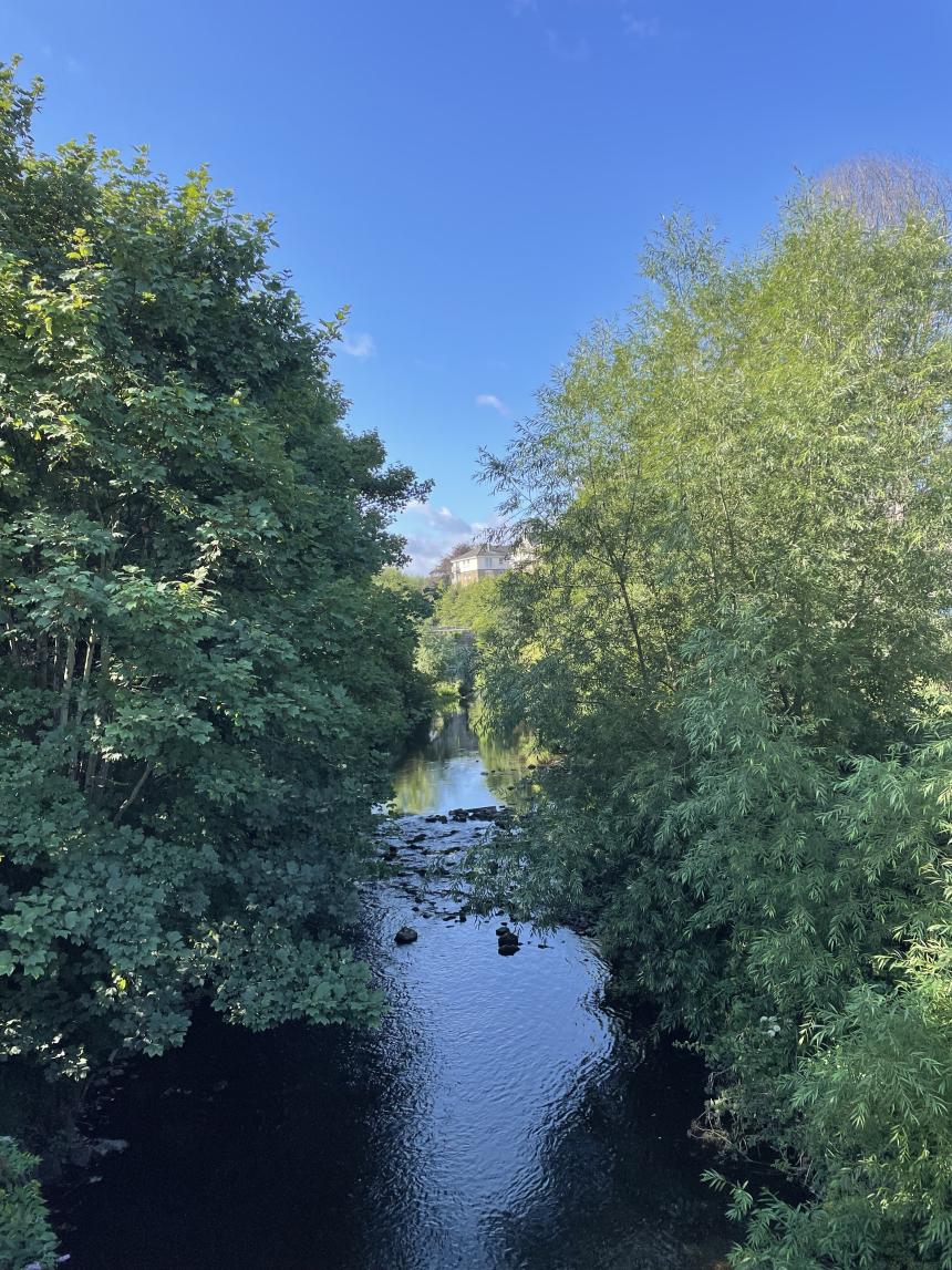 アイルランドの小川の様子