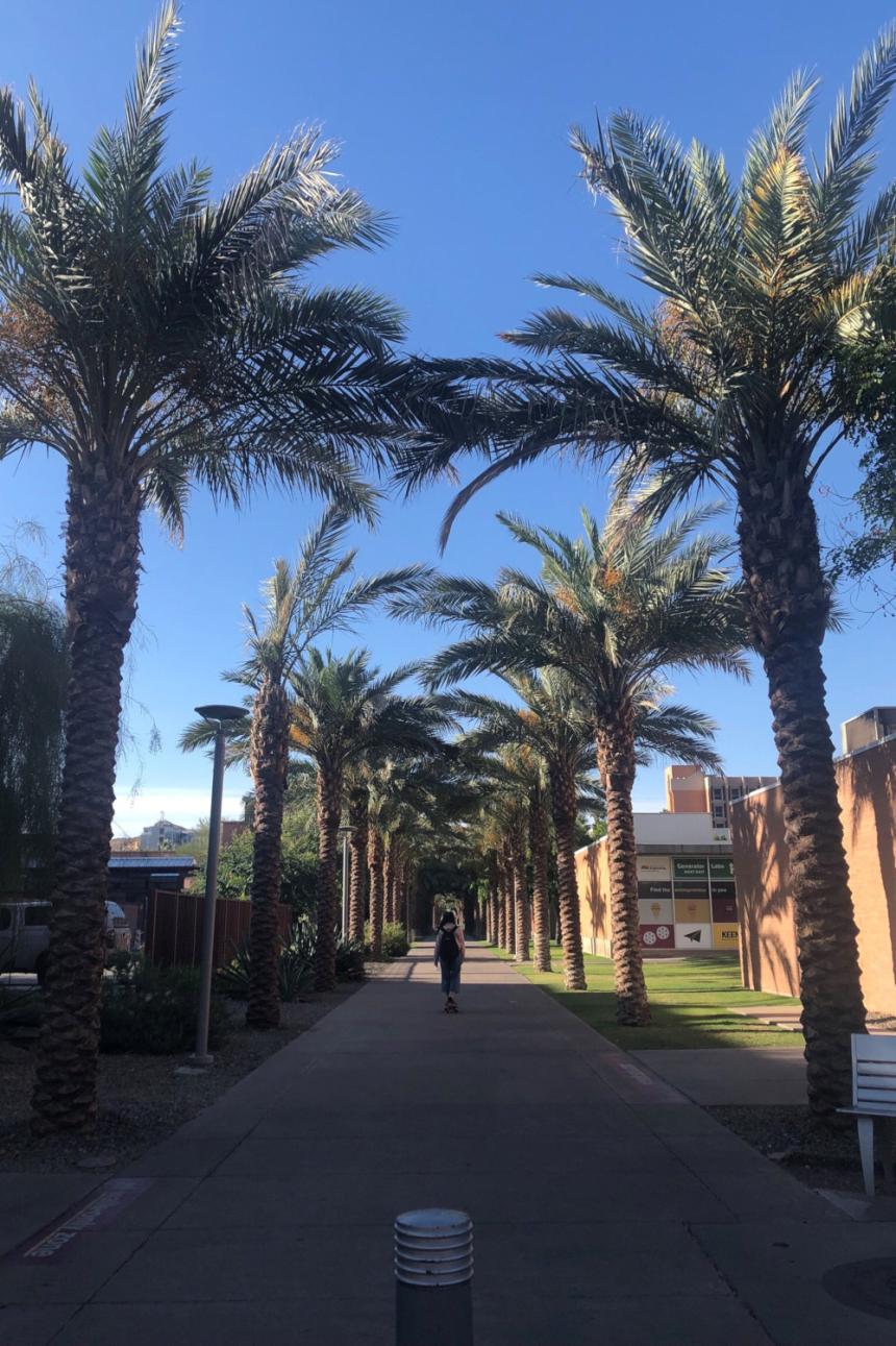 アリゾナ州立大学のキャンパスの様子