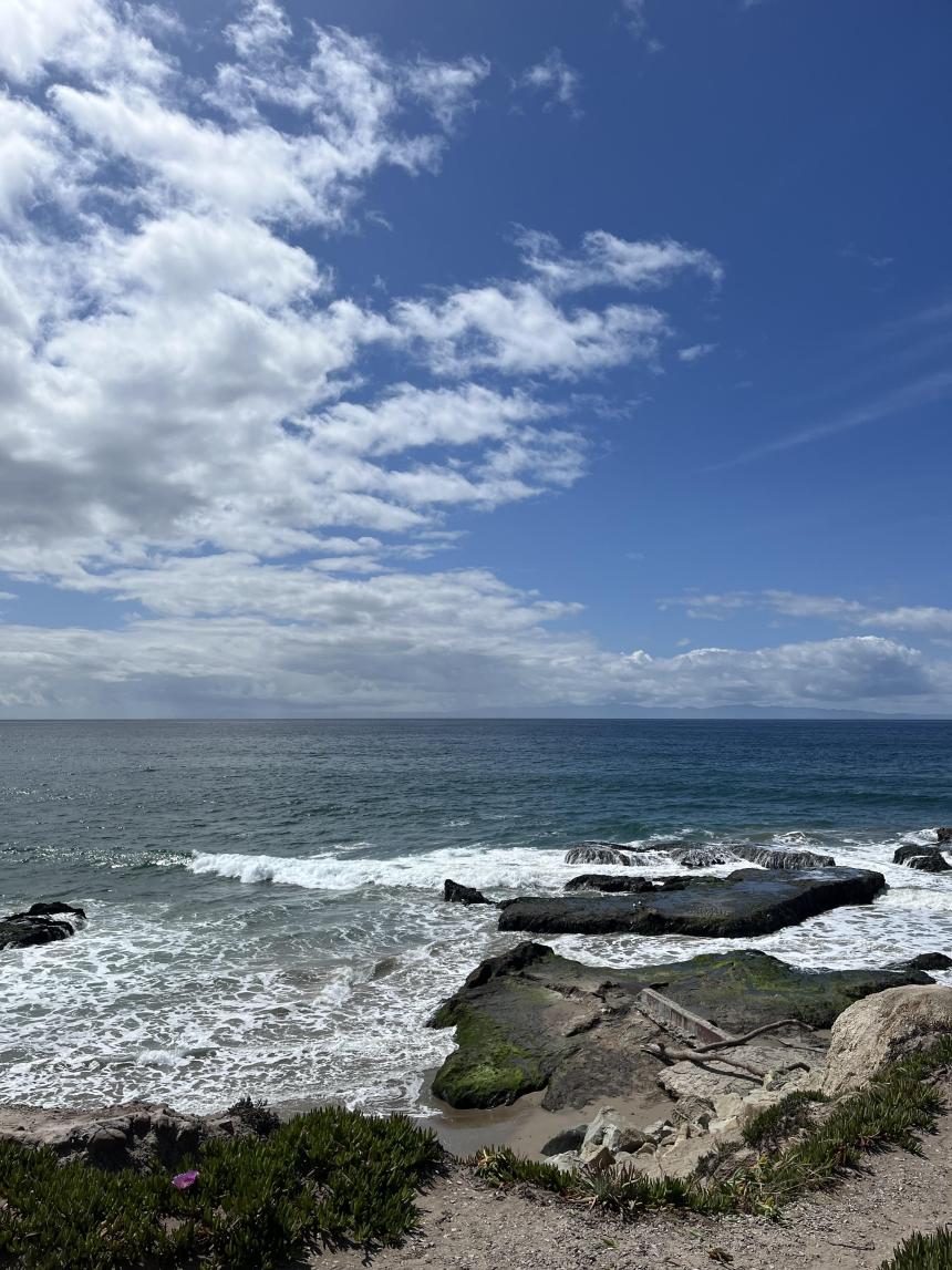 カリフォルニアの海の写真