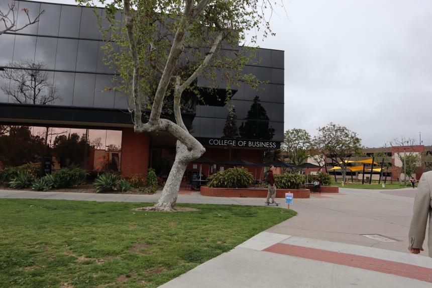 CSULB's College of Business featuring a tree on the lawn and a student skateboarding on the sidewalk.