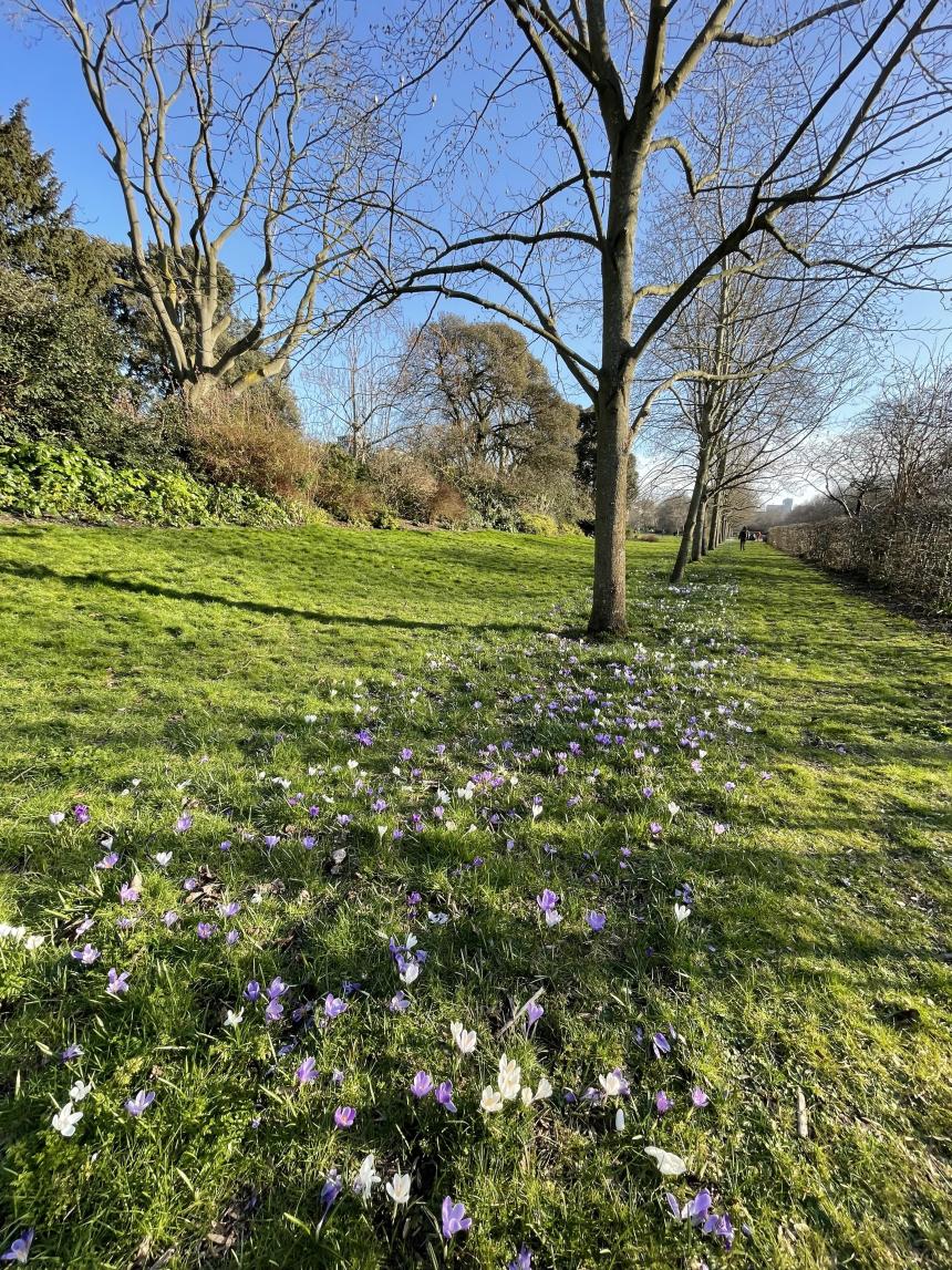 天気のいいロンドン
