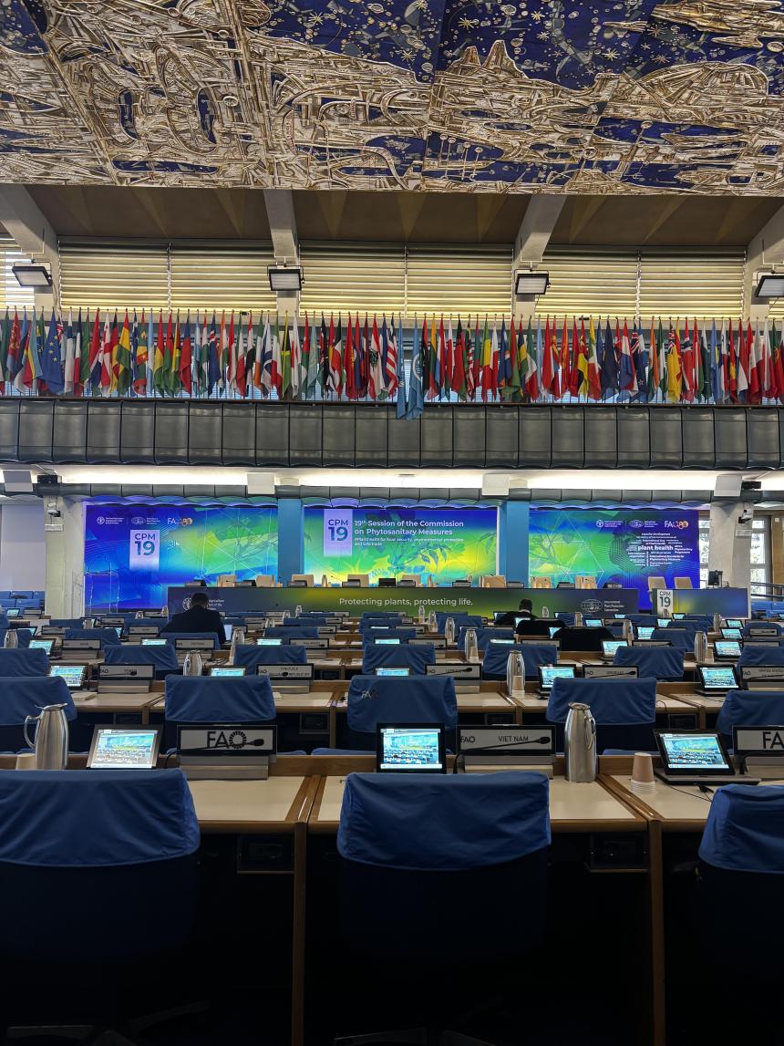 2025Sp_Rome_Saki_HAYATA