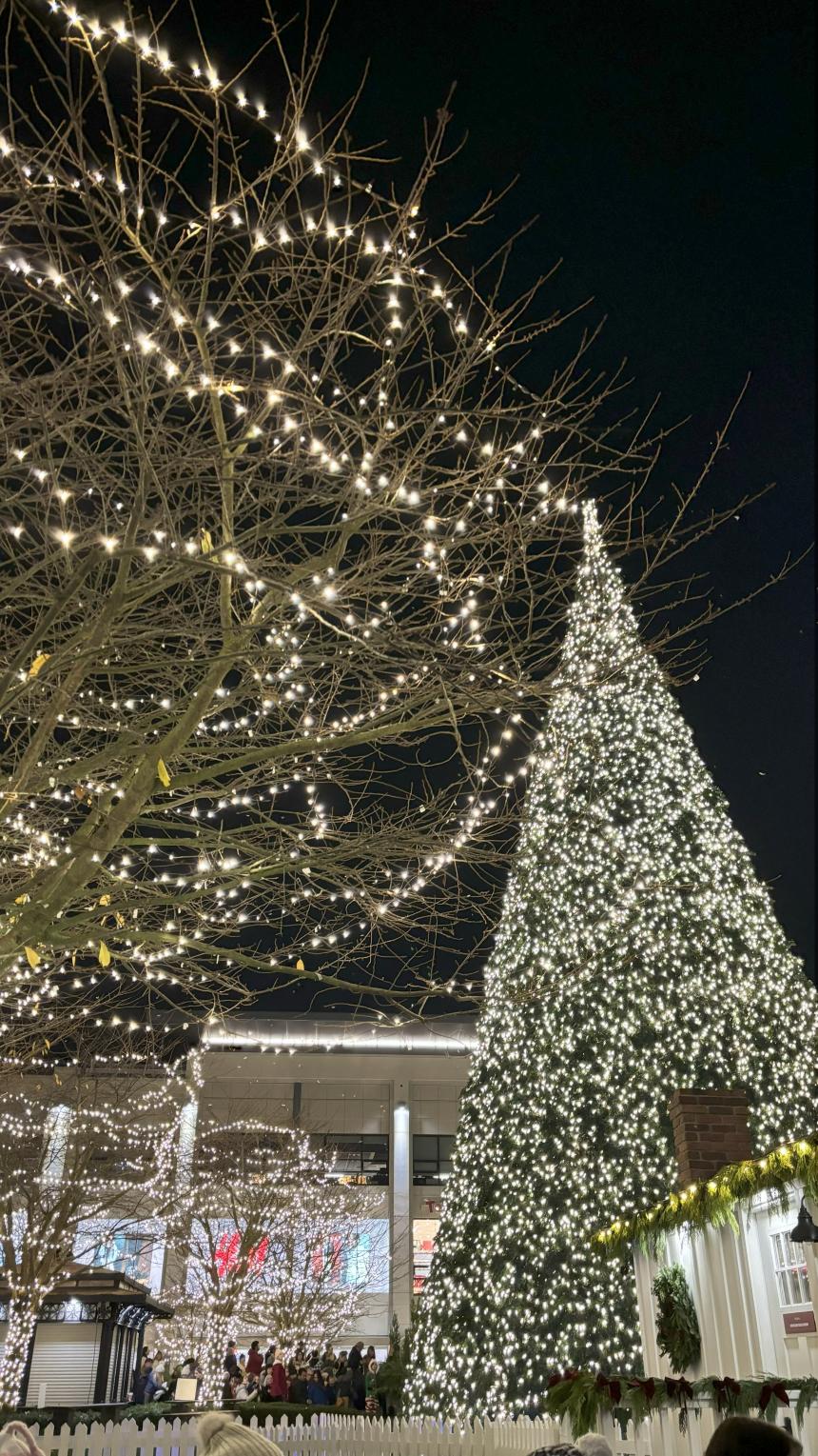 Manaka _TAKIZAWA_GA_第4回_2.jpg