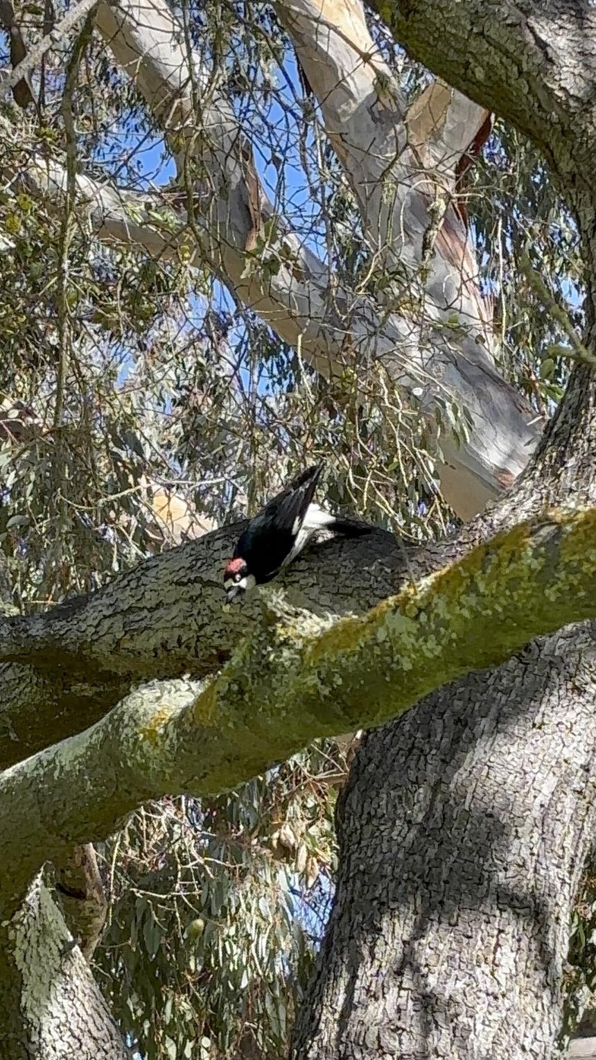 SoichiYANAGIHARA_UCSB_GA1