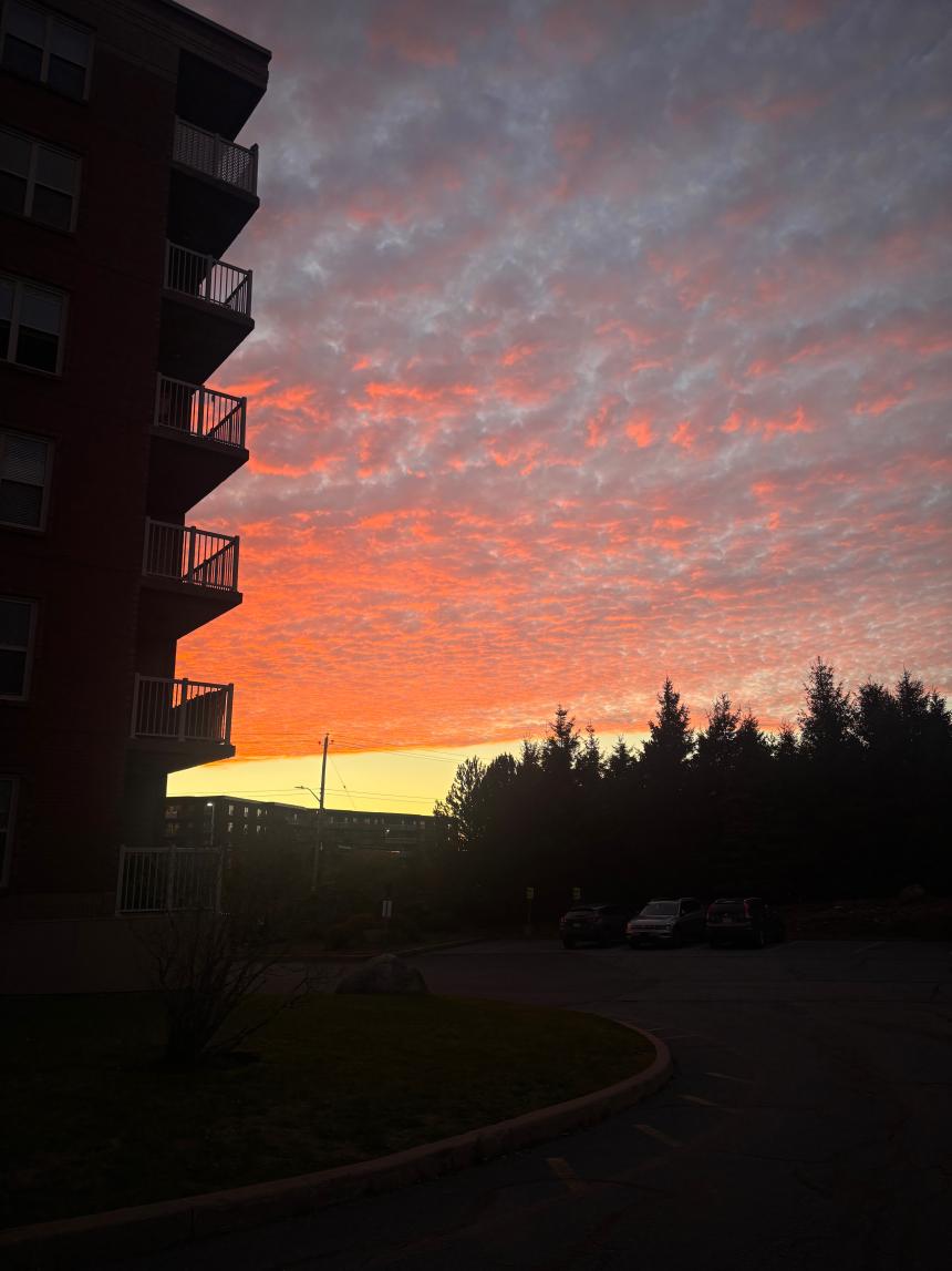 YumehoAOKI_Dalhousie