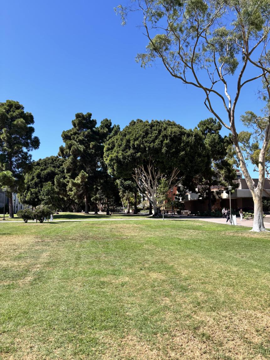 SoichiYANAGIHARA_UCSB