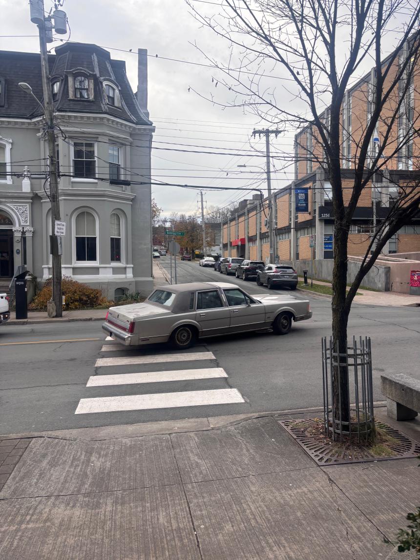 YumehoAOKI_Dalhousie