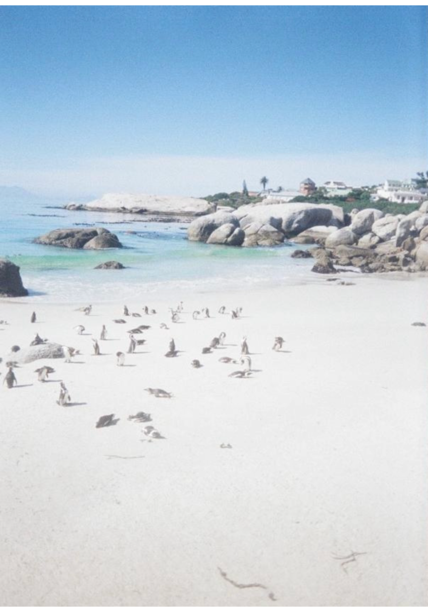 2025年フォトコンテストカテゴリー２「お気に入りの場所」優勝作品