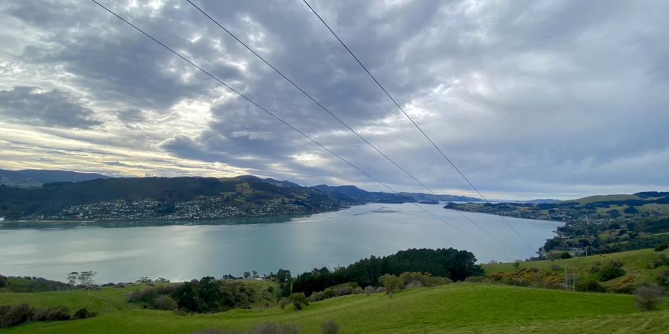 ニュージーランドの自然豊かな景色