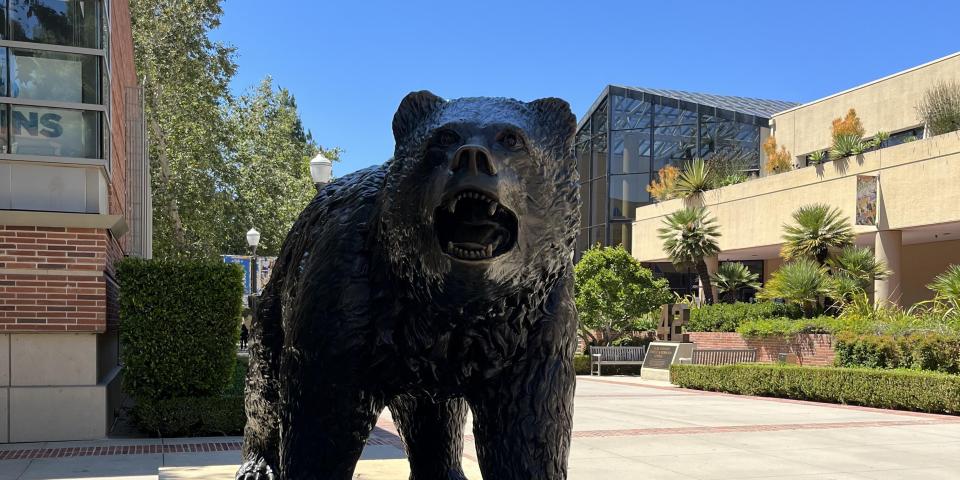 UCLAのクマの銅像の写真