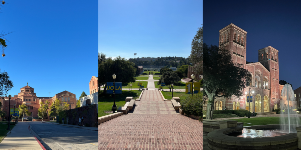 UCLAの構内の写真3枚