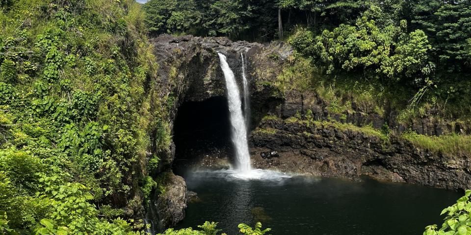 アメリカ、ハワイのジャングル。中央に滝。