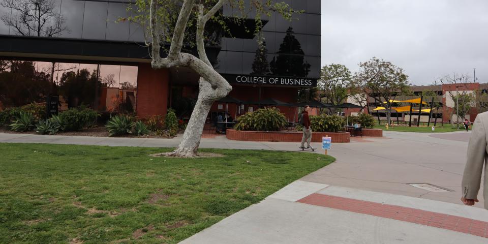 CSULB's College of Business featuring a tree on the lawn and a student skateboarding on the sidewalk.